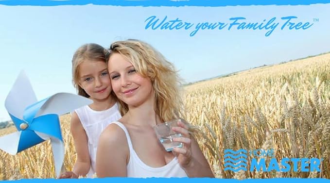 Home Master Whole House 4-Layer Sediment 25 Down to 1 Micron, Radial Flow GAC Carbon, 2 orings & Grease, 20gpm, Replacement Filter Set CsetBB2SmgC 20x4.5