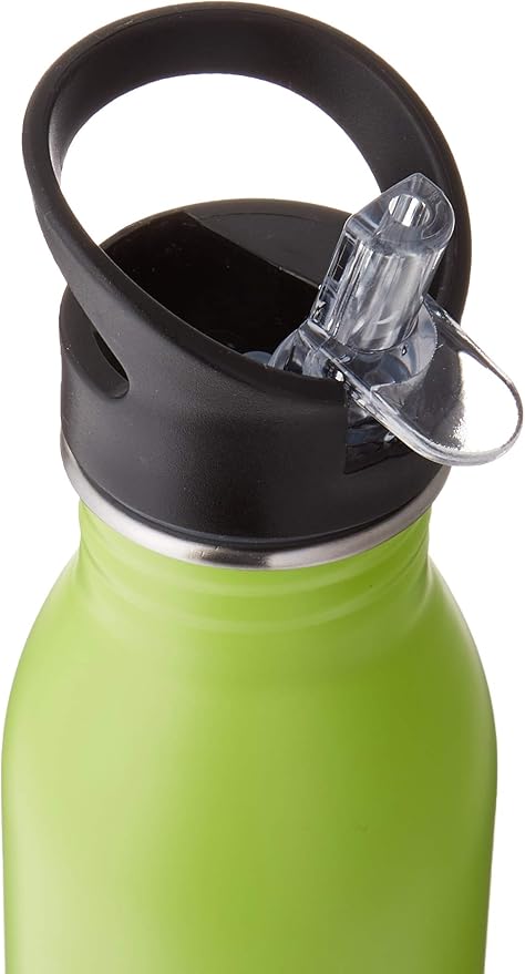 Panda Stainless Steel Insulated Water Bottle with Straw Lid