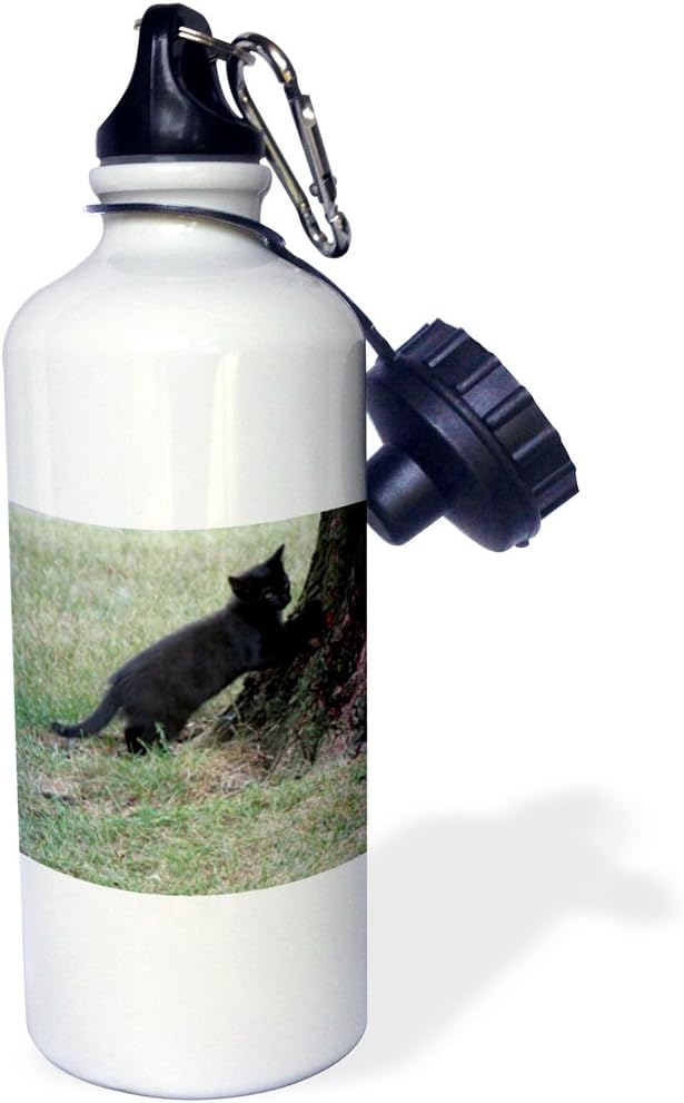 3dRose Black Kitten About to Climb A Tree Sports Water Bottle, 21 oz, Multicolor
