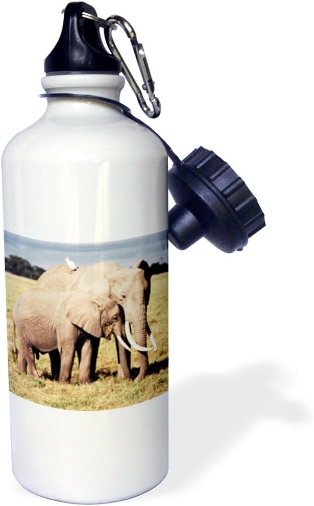 3dRose Kenya, Amboseli NP, Mother Elephant, Loxodonta africana, with Young. -Sports Water Bottle, 21oz , 21 oz, Multicolored