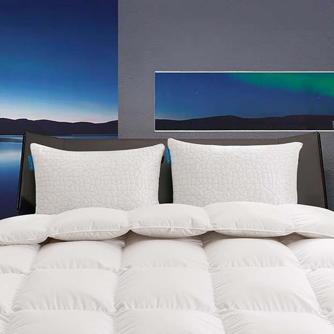 Cooling Pillows for Sleeping, Adjustable Shredded Memory Foam Pillow Queen Set of 1, Cool Pillow for Hot Sleepers, with Extra Fill for Side Back and Stomach Sleepers