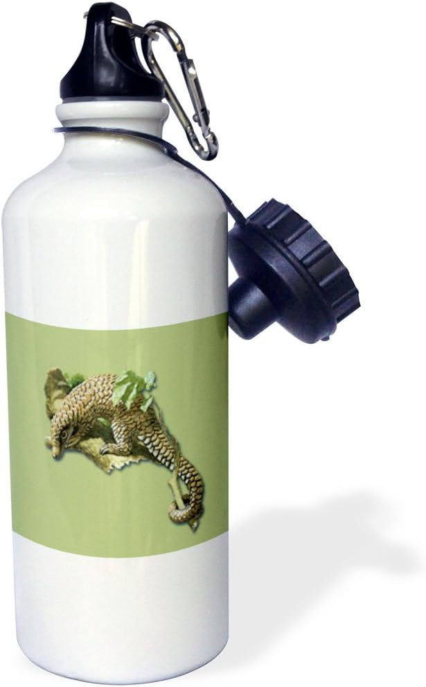 3dRose Vintage Pangolin or Scaly Anteater in a Tree Sports Water Bottle, 21 oz, Multicolored
