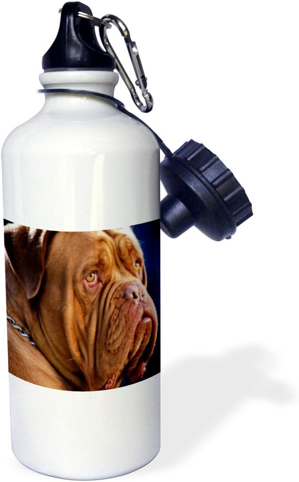 3dRose "A Portrait Of A Mastiff" Sports Water Bottle, 21 oz, White