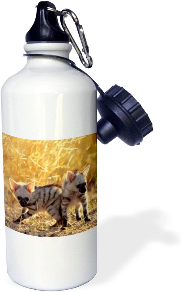 3dRose pair of Aardwolf cubs at play. -Sports Water Bottle, 21oz , Multicolored