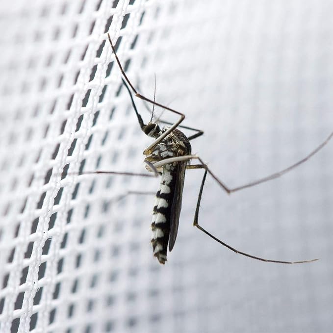 Mosquito Net Bed Canopy for Girls,King Canopy Bed Curtains Full Queen Size from Ceiling,Dome Mosquito Netting Bed Tent Twin Girls Princess Canopy Bed White Decor for Baby Crib,Kid Bed and Adult Beds