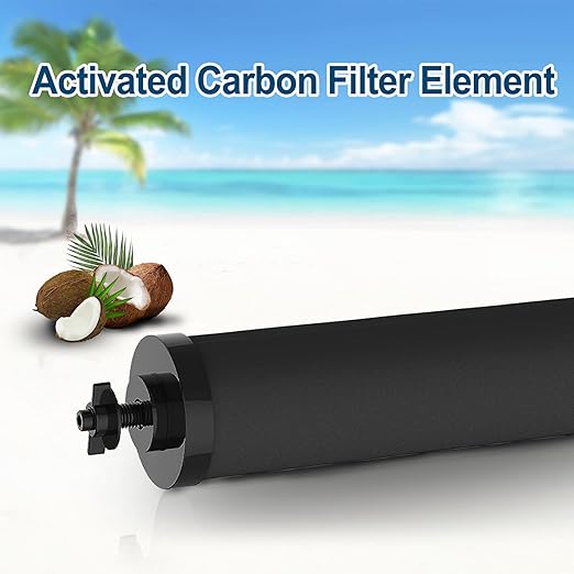 Water Filter Replacement for Berkey® Purification Elements Compatible with Berkey® Countertop Gravity Filter System Reduce Chlorine Black (Pack of 2)