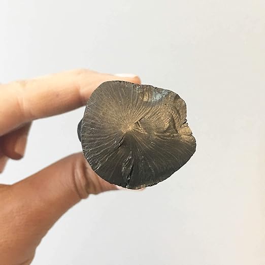 TOSA Binchotan Charcoal Water Purifying Stick for Great-Tasting Water, 1 Stick - Filters 1-2 Gallons of Water