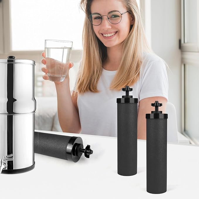 Water Filter Replacement Black Element Cartridge Compatible with Berkey® BB9-2® Gravity Filter System, for Berkey® Water Filter Replacement. Water Filter Replacement, Pack of 2