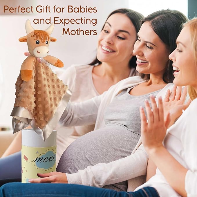 Highland Cow Baby Security Blanket Loveys for Babies Girls, 16" Soft Baby Lovey Blanket, Baby Snuggle Stuffed Animals Blankie, Baby Boy Girl Gifts for Infant and Toddler, 2 Pack