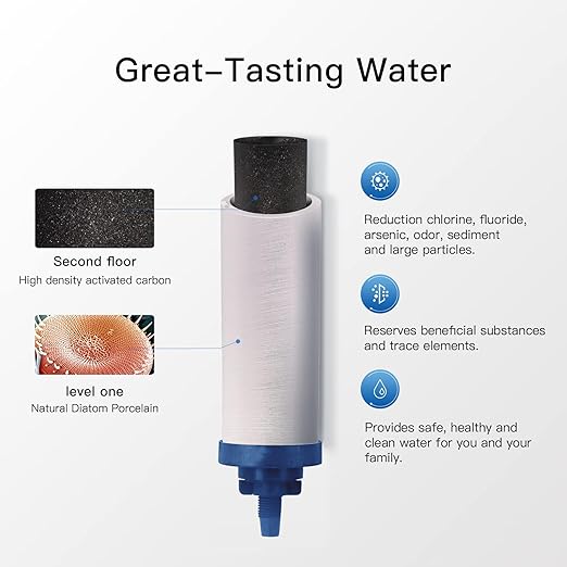 7" Ceramic Fluorine Filter, Replacement Filters for ProOne® G2.0 Filters, ProOne® Big+ or Big II Countertop Gravity Water Filter System and FACHIOO King Tank Series(Pack of 2)