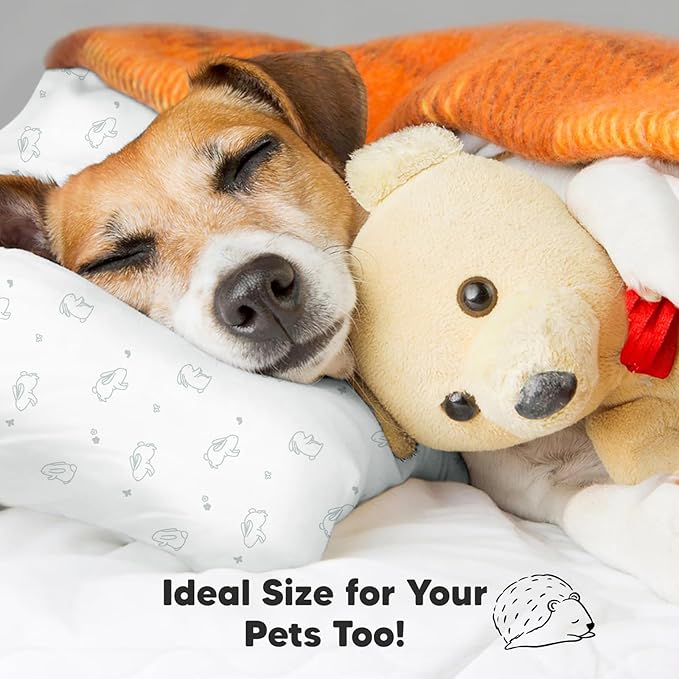 2-Pack Toddler Pillow - Soft Organic Cotton Toddler Pillows for Sleeping - 13X18 Small Pillow for Kids - Kids Pillows for Sleeping - Kids Pillow for Travel, School, Nap, Age 2 to 5 (Bunnies)