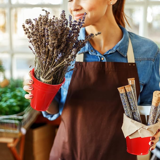 Sadnyy 12 Pack Metal Buckets with Handle, Galvanized Bucket 4.5 x 5 Inch Basket Bucket for Kids, Kids Party Supplies, Crafts for Christmas Halloween Christmas Candy Bars Vase Crafts(Red)