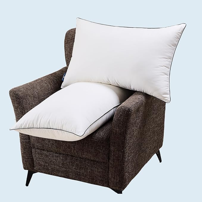 Goose Down Pillows Standard Size Set of 2, Luxury Hotel Collection Bed Pillow 2 Pack, Airyfil™ Powered Fillings & Feather Pillow,Soft Fluffy for Side, Back, Stomach Sleepers 20"x26"