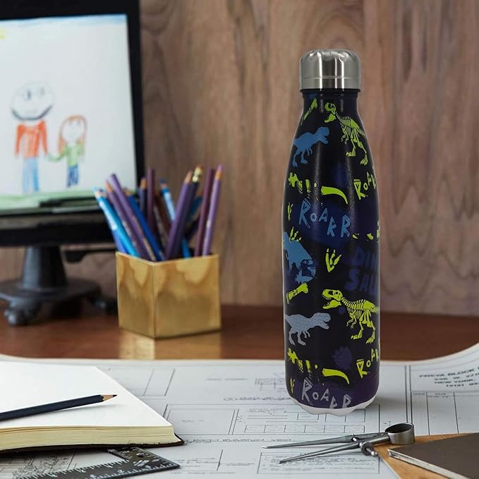 Dinosaur Insulated Sport Water Bottles Stainless Steel Travel Mugs BPA Free Tumbler For Outdoor Camping Travel 20 OZ