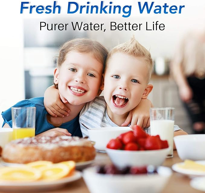 ICEPURE NSF53 6-Stage Pitcher Water Filter Replacement for Zero Pitchers ZR-017, ZR-001, ZR-003, ZR-004, ZR-006, ZR-008, ZR-012, ZR-600,0-TDS 4PACK