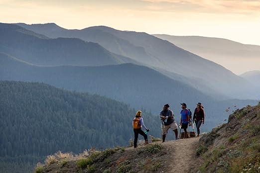 LifeStraw Go Water Filter Bottle with 2-Stage Integrated Filter Straw for Hiking, Backpacking, and Travel, Teal, 22, Model:LSG201DT08