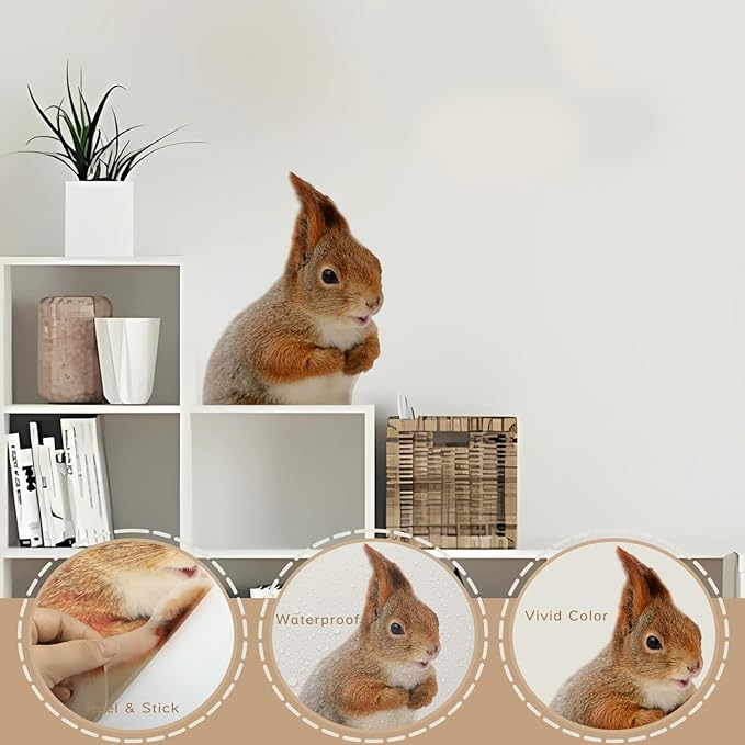 Cute Squirrel Wall Decal Peel and Stick Funny Realistic Squirrel Wall Sticker Decal for Kitchen Bedroom Playroom Game Room Farm Barn Funny Car Sticker Gift