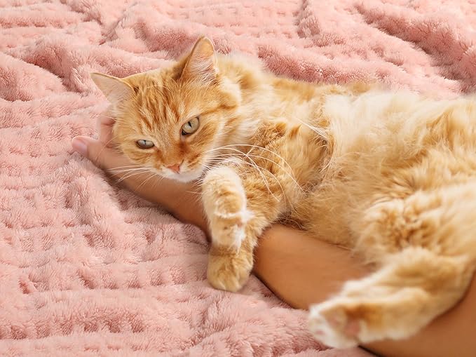 Sherpa Baby Blanket for Girls Toddlers Fleece Fluffy Fuzzy Blanket for Baby,Soft Warm Cozy Fleece Blanket,Receiving Blanket for Infant Newborn (pink, 30 * 40, waffle)