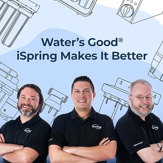 iSpring Whole House Water Filter System, Reduces Scale, Corrosion, Chlorine, Taste, Odor, 2-Stage Water Descaler and Water Filter, Model: WGB22B-DS