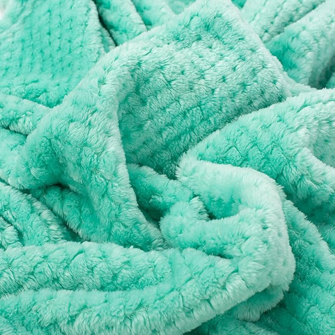 Fuzzy Blanket or Fluffy Blanket for Baby, Soft Warm Cozy Coral Fleece Toddler, Infant or Newborn Receiving Blanket for Crib, Stroller, Travel, Decorative (28Wx40L, XS-T Blue)