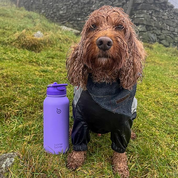 BOTTLE BOTTLE 32oz Insulated Water Bottle Stainless Steel Sport Water Bottle with Straw Dual-use Lid Design for Gym with Pill Box (dark purple)