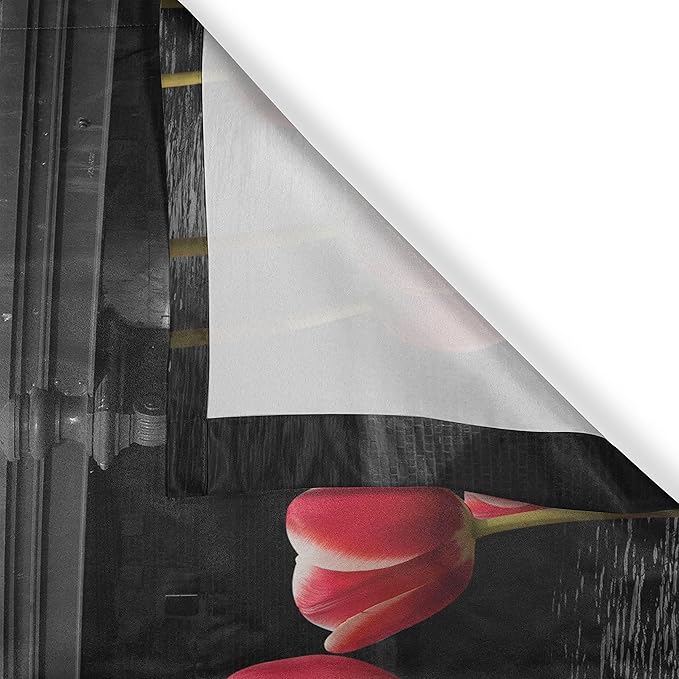 Ambesonne Black and White Kitchen Curtains, Monochrome Photo of Amsterdam Canal with Red Tulips and Houses, Window Drapes 2 Panel Set for Kitchen Cafe Decor, 55" x 39", Red Black