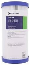 R50-BB Sediment Water Filter, 10-Inch x 4.5-Inch. Whole House Pleated Polyester Filter Cartridge, 10" x 4.5", 50 Micron (Part # 155053-43)