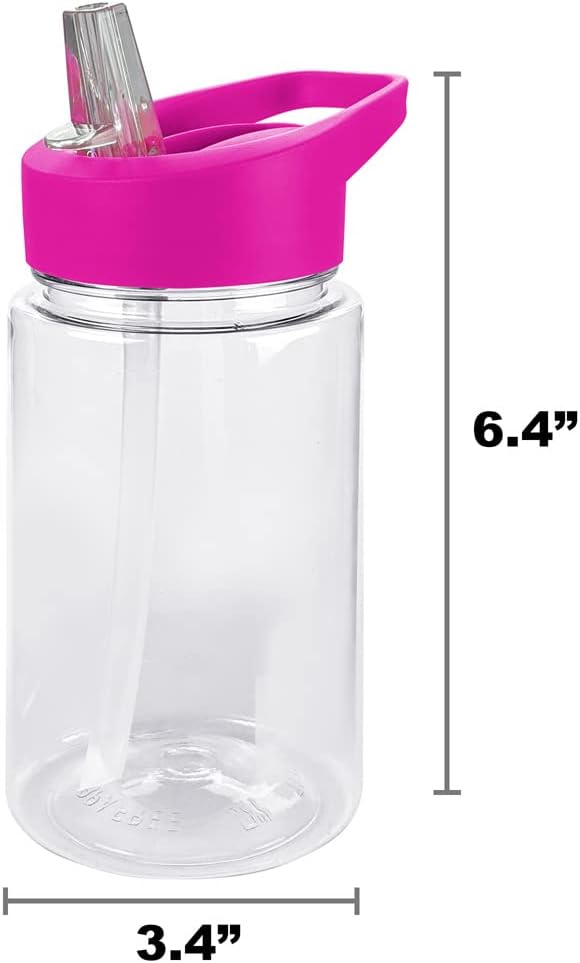 LOGOVISION Sesame Street Kids Tritan Plastic Water Bottle with Straw Lid and Handle, Reusable Tumbler for Toddlers, Unisex for Girls and Boys, 12oz, Big Abby