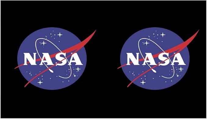 Fifth Sun NASA Logo 17 oz Stainless Steel Water Bottle, 17 Ounce, Multicolored