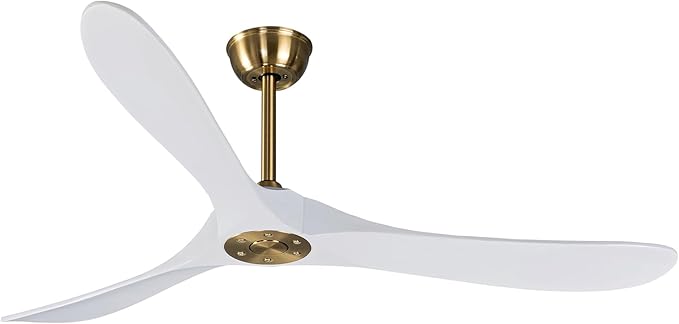 Bigzone 60" Indoor/Outdoor Ceiling Fan Without Light, Quiet Energy Saving DC Motor,3 White Balsa Wood Blades,Modern Ceiling Fan With Remote Control, Reversible Blades