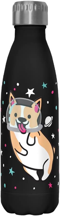 Fifth Sun Space Corgi 17 oz Stainless Steel Water Bottle, 17 Ounce, Multicolored