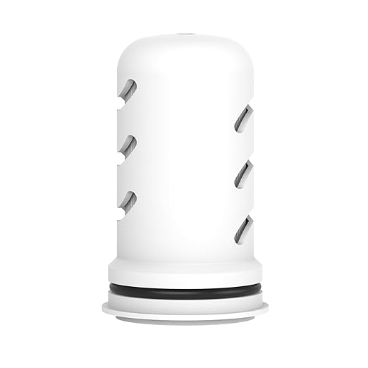 GLACIER FRESH Water Pitcher Filter Replacement for LS Home Dispenser and Pitcher Systems, Reduces Chlorine Taste and Odor, 1 Membrane Micro Filter