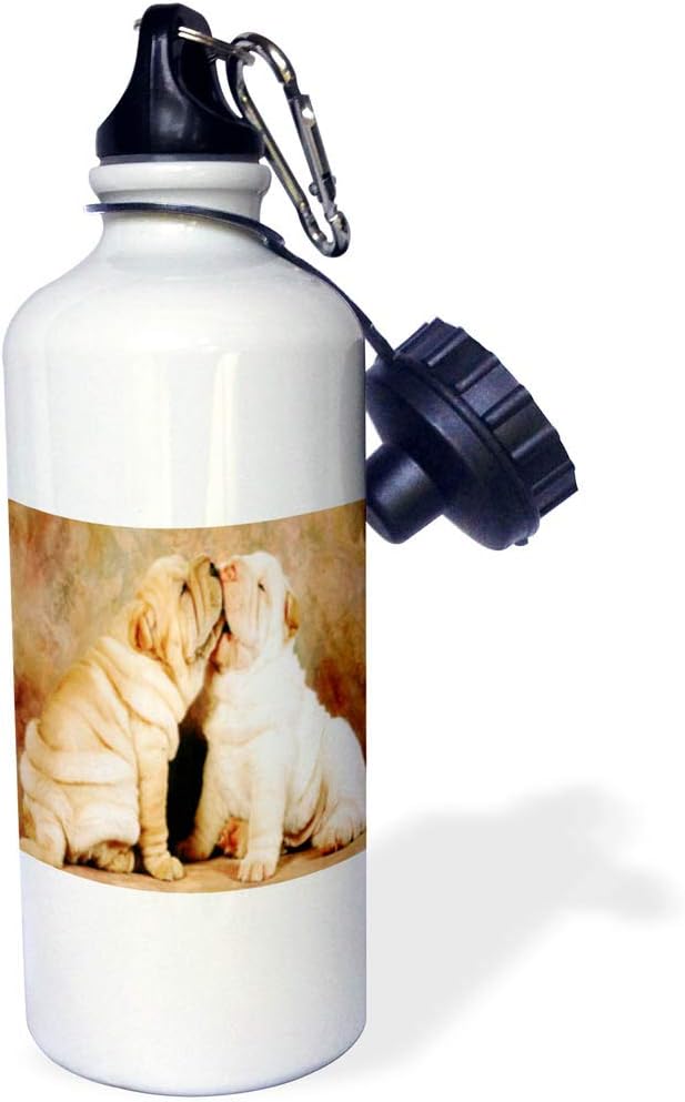 3dRose "Best Friends Shard Pei Puppies" Sports Water Bottle, 21 oz, White