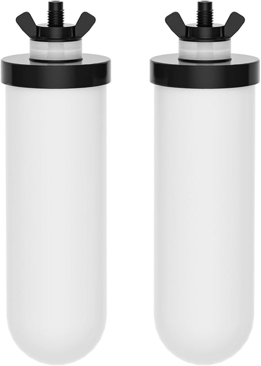Purewell TC-2 Ceramic Purification Elements, Replacement Filters for ProOne® and Berkey® Filters, ProOne® Big+ or Berkey® Big Countertop Gravity Water Filter System and Purewell System (2 Pack)