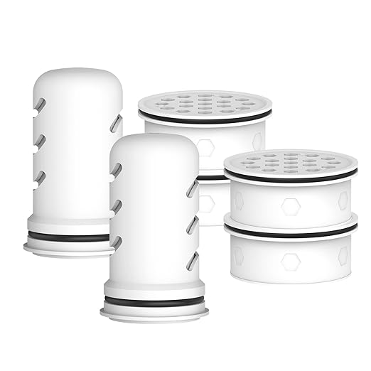 GLACIER FRESH Water Pitcher Filter Replacement for LS Home Dispenser and Pitcher Systems, Reduces Chlorine Taste and Odor, 2 Membrane Micro Filter and 4 Activated Carbon + Ion Exchange Filter