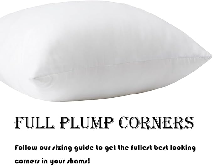 Pack of 4 Throw Pillow Inserts, 18 x 18 Square Cushion Inner Soft Fluffy Plump Stuffer Cushion Pads White Decorative Pillow Inserts (20x20 Inch (Pack of 4))