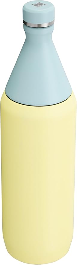 STANLEY All Day Slim Bottle 20-34 OZ | Twist off Lid with Leakproof Seal | Slim Design for Travel & Gym | Insulated Stainless Steel | BPA-Free