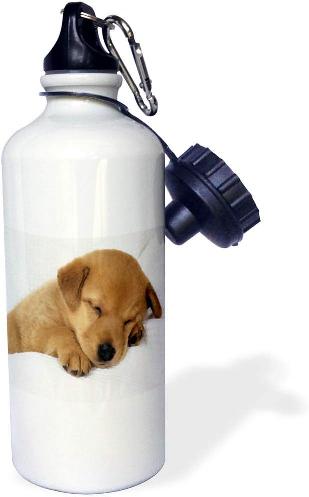 3dRose Print of Sleepy Puppy Painting Sports Water Bottle, 21 oz, Multicolor