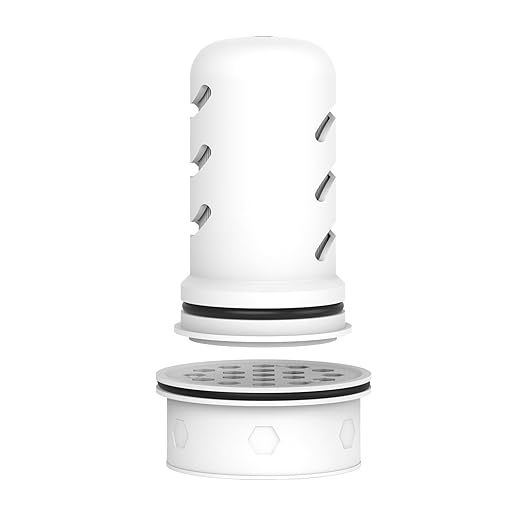 GLACIER FRESH Water Pitcher Filter Replacement for LS Home Dispenser and Pitcher Systems, Reduces Chlorine Taste and Odor, 1 Membrane Micro Filter and 1 Activated Carbon + Ion Exchange Filter