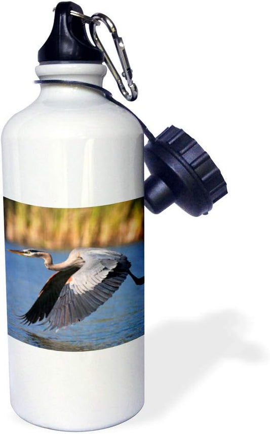 3dRose USA, California, San Diego, Lakeside Blue Heron Flying Sports Water Bottle, 21 oz, Multicolor