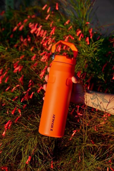 Stanley IceFlow Flip Straw 2.0 Water Bottle| Built-In Straw with Larger Opening | Lightweight & Leak-Resistant | Insulated Stainless Steel | BPA-Free
