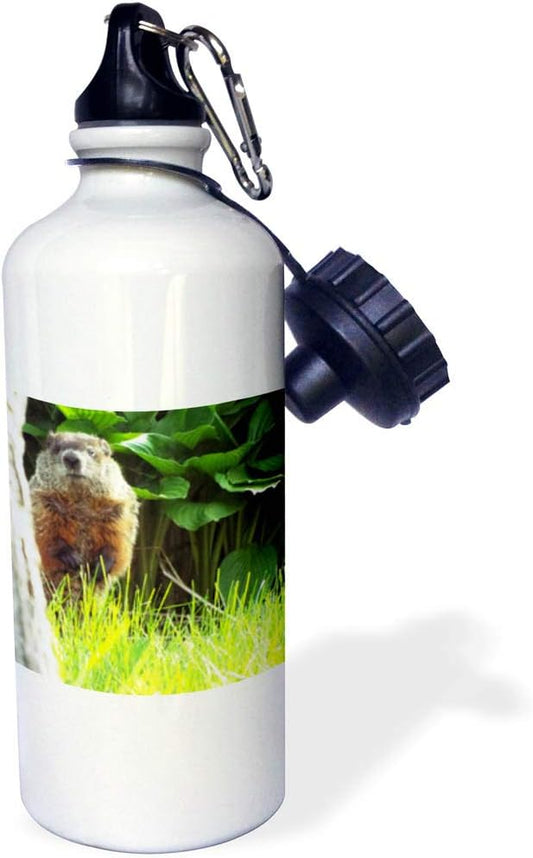 3dRose Groundhog Peek-Sports Water Bottle, 21oz , 21 oz, Multicolored