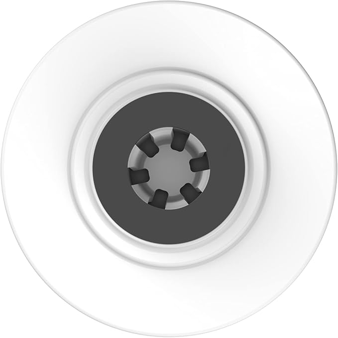 Pentair Pentek GAC-BB Big Blue Carbon Water Filter, 10-Inch, Whole House Heavy Duty Granular Activated Carbon (GAC) Replacement Cartridge, 10" x 4.5", Pack of 2