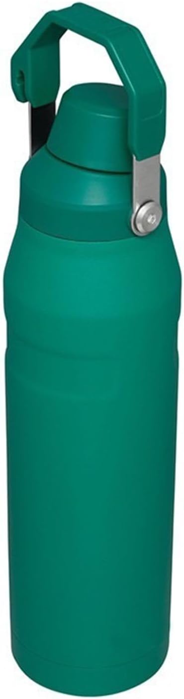 Water Bottle 24 OZ Angled Spout Lid Lightweight & Leakproof for Travel & Sports Insulated Stainless Steel BPA-Free (Green, 24oz)