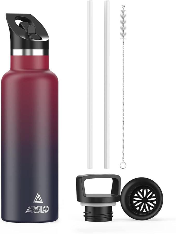Stainless Steel Water Bottle with Straw - Insulated Water Bottle for Sports, Gym, School, Commute, Adults/Kids - Keep Cold for up to 24 Hours - Sweat/Leak-proof - 2 Lids - BPA Free