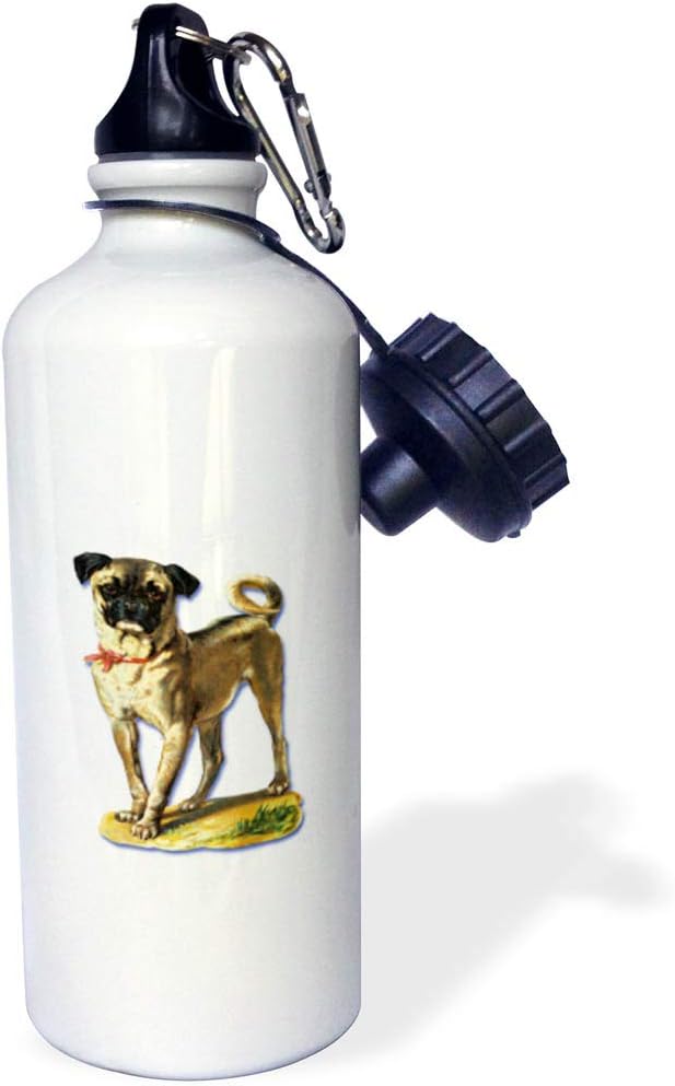 3dRose Cute Little Pug with a Red Bow Victorian Pet Illustration-Sports Water Bottle, 21oz , 21 oz, Multicolored