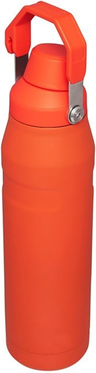 Water Bottle 24 OZ Angled Spout Lid Lightweight & Leakproof for Travel & Sports Insulated Stainless Steel BPA-Free (Orange, 24oz)