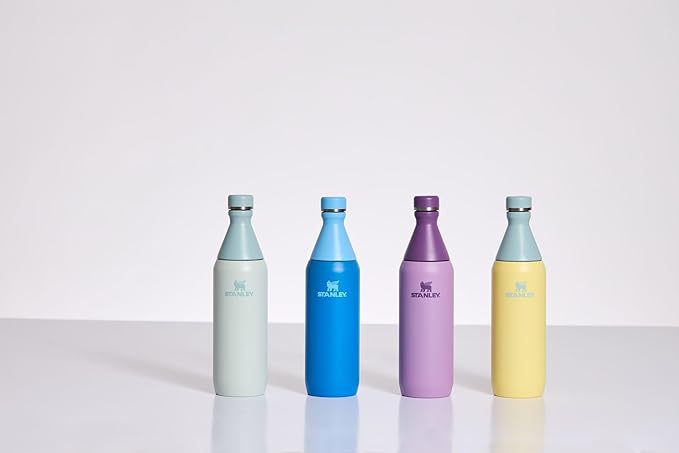 STANLEY All Day Slim Bottle 20-34 OZ | Twist off Lid with Leakproof Seal | Slim Design for Travel & Gym | Insulated Stainless Steel | BPA-Free