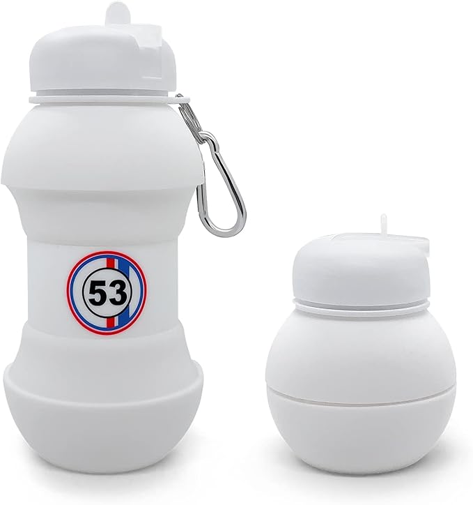 TOTU 20oz Water Bottle BPA Free, for Travel, Sports, Gym, Camping, Hiking, All Essentials