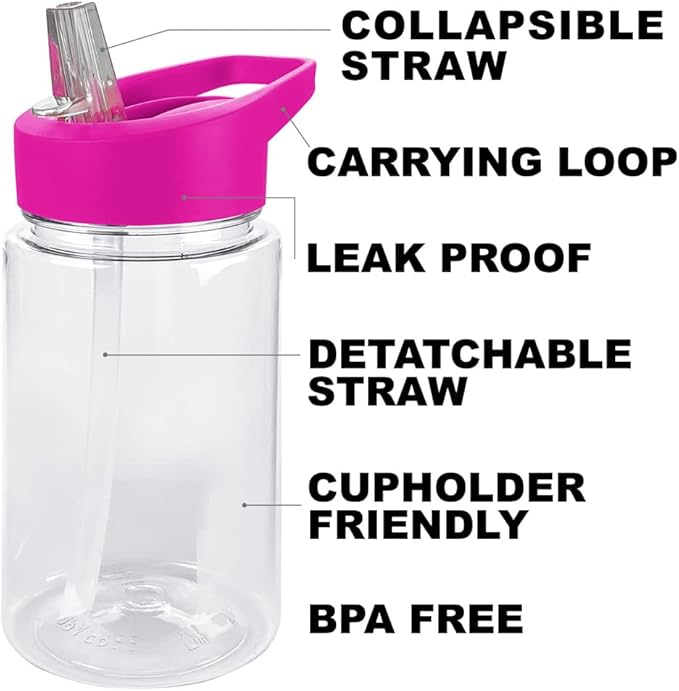 LOGOVISION Sesame Street Kids Tritan Plastic Water Bottle with Straw Lid and Handle, Reusable Tumbler for Toddlers, Unisex for Girls and Boys, 12oz, Big Abby